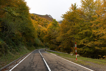 Wall Mural - Landscape of Picos de Europa national park road through autumn forest with bright colorful leaves and sunset