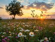 A field of wildflowers at sunset. Generative AI.