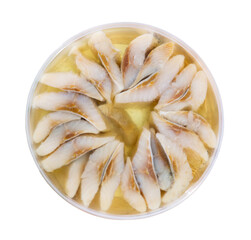Poster - Round plastic bowl containing pickled herring fillet. Isolated over white background