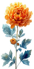 Sticker - A painting of an orange flower with blue leaves, golden chrysanthemum flower.