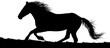 figura, caballo, silueta, pegatina