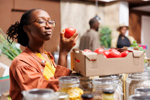 Detailed View Of A Young Black Woman Holding And Admiring A Ripened Red Tomato In An Eco Friendly Supermarket. Image Showing An African American Lady Examining Freshly Harvested Produce.