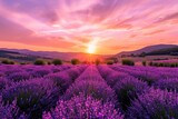 Fototapeta Kwiaty - A breathtaking landscape of purple hues fills the sky as the sun sets behind a majestic mountain, casting a warm glow over a vast field of lavender, creating a serene and peaceful outdoor scene