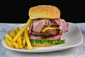 pastrami cheese burger served with a side of fries