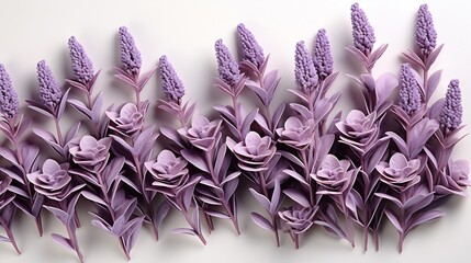 Wall Mural - Lavender flowers isolated on white background. Flat lay, top view, copy space. Selective focus. : Generative AI