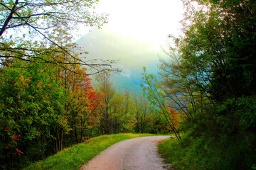 Delicate scenery from Eremo di Soffiano near Sarnano in the Sibillini Mountains with the sun's balmy light shining through the hazy big peaks in the background and a path with trees in the foreground