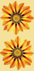 Wall Mural - yellow flower illustration