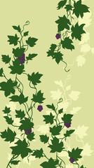 Wall Mural - grapevine silhouette illustration