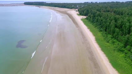 Wall Mural - Descending aerial view of a large, quiet tropical sandy beach