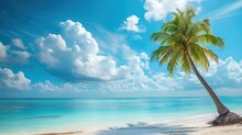 Beautiful Palm Tree On Tropical Island Beach On Background Blue Sky With White Clouds And Turquoise Ocean On Sunny Day. Perfect Natural Landscape For Summer Vacation