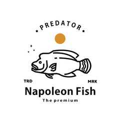 Wall Mural - vintage retro hipster napoleon fish logo vector outline monoline art icon