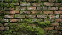 An Old Texture Of Red Brick Wall With Green Moss That Sprouted On The Wall. The Picturesque Brickwork Is Being Destroyed By Old Age.