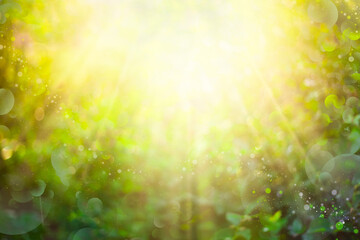 Canvas Print - Beautiful green bokeh nature background with sun rays and lens flares