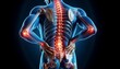 Lower back pain , back on the dark blue background, medical illustration