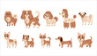 Cute dog breeds vector set. Cartoon illustrations collection of various popular purebred small and toy puppies in flat style for veterinary, pets, kids