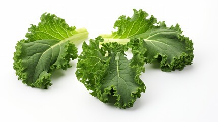 Poster - Close-up realistic photo showcasing three vibrant green kale leaves on a white background Generative AI