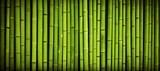 Fototapeta Fototapety do sypialni na Twoją ścianę - Natural green bamboo background.