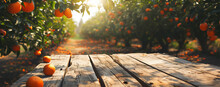 Empty Wood Table With Free Space Over Orange Trees, Orange Field Background. For Product Display Montage