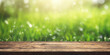 grass,Park blur background ,Natural textured background,Disorienting spring common establishment with green unused delightful energized grass and cleanse wooden table in nature morning open see at. 