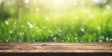 Grass,Park Blur Background ,Natural Textured Background,Disorienting Spring Common Establishment With Green Unused Delightful Energized Grass And Cleanse Wooden Table In Nature Morning Open See At. 