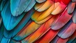 Feather Texture Background