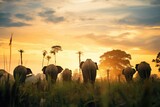 Fototapeta  - elephant herd silhouetted against jungle sunset