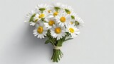Fototapeta  - Bukiet kwiatów rumianku na białym tle
