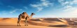 Camel standing in the sand desert sahara. Maal hijrah. Islamic new year. islam background