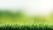 Grass in fairway green background. Concept for adverb