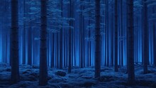 Forest Blue Night