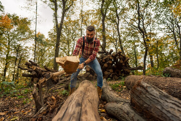 Wall Mural - A young Caucasian lumberjack energetically chopping wood with an axe in the forest.