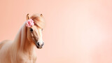 Fototapeta  - Portrait of an adorable horse with a rose in its mane on a pastel background. Side view, space for text.