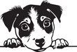 illustration of a peeking Jack Russell Terrier dog