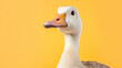 closeup of white geese isolated on yellow background