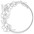 Round frame with Gladiolus or sword lily flower, bud and leaf in black isolated on white background. 