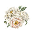 Composition of white and powdery peony flowers and leaves. Floral watercolor illustration hand painted isolated on white
