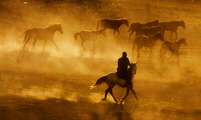 Canvas Print - Cowboy_7