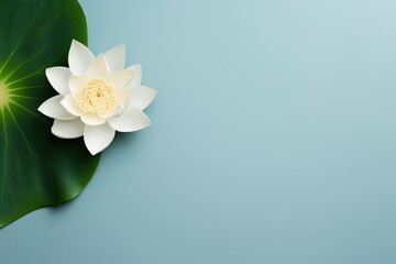 Poster - Top view of light blue background with white lotus flower and green leaf. Text space available.