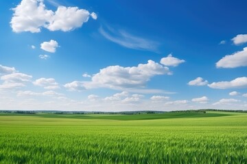 Sticker - Ukrainian agricultural land with cultivated fields, minimalistic landscape, and beautiful earth.