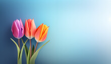 Bouquet Of Tulips On Blue Background With Copy Space