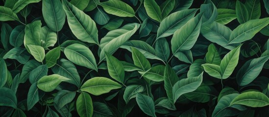 Wall Mural - new, green foliage