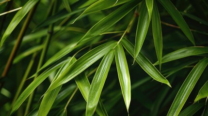 Poster - A detailed view of a plant with vibrant green leaves. This image can be used to add a touch of nature and freshness to any project