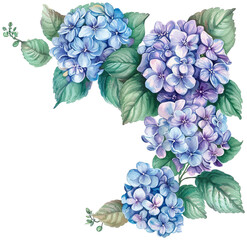 Wall Mural - elegant watercolor vector illustration of hydrangea corner frame PNG element cut out transparent isolated on white background ,PNG
