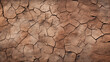 Fondo con textura de barro seco con grietas creadas por la sequía