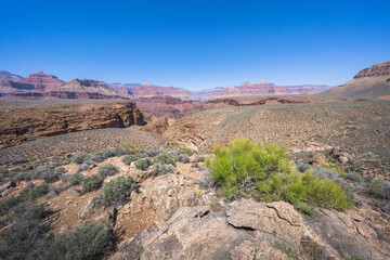 Wall Mural - hiking the tonto trail in the grand canyon national park, arizona, usa