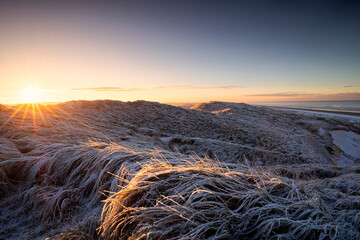 Wall Mural - sunrise over frozen snowy dunes at sea shore