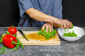 Wall Mural - Female hands in blue t-shirt add green salad leaves to white bowl to prepare snack. Healthy food.