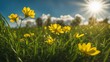 © Jared - field of dandelions a spring summer scene with green grass, yellow flowers, and a branch with leaves in front of a blue