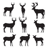 Fototapeta Pokój dzieciecy - A black silhouette Deer set, Clipart on a white Background, Simple and Clean design, simplistic