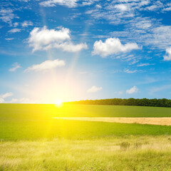 Wall Mural - Bright sunset on spring field